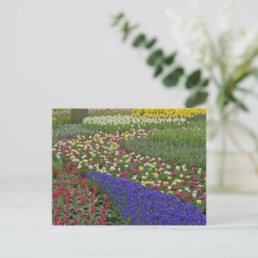 Tuinontwerp van druivensap en tulpen; briefkaart (Staand voorkant)