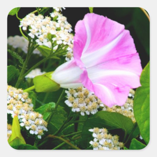 Tuinpartij Floral Stickers (Voorkant)