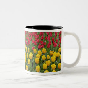 Tuinpatroon van tulpen, Keukenhof, 2 Tweekleurige Koffiemok