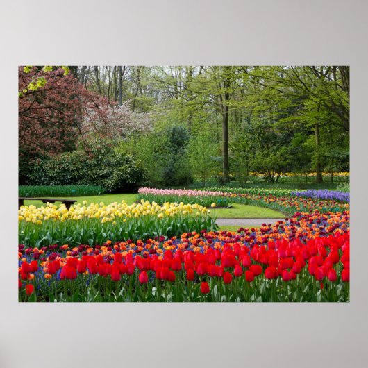 TuinPoster Poster (Voorkant)