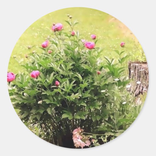 TuinRozen Stickers (Voorkant)