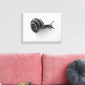 Tuinslak Natuurfotografie Canvas Afdruk (Insitu (Woonkamer))