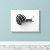 Tuinslak Natuurfotografie Canvas Afdruk (Insitu (Houten vloer))