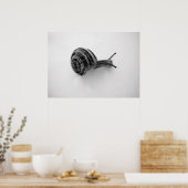Tuinslak Natuurfotografie Poster (Keuken)