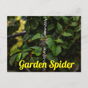 Tuinspin Bouwt een Web Poster Briefkaart