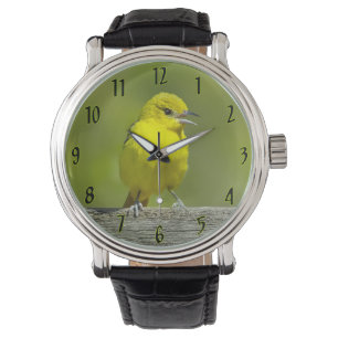 Tuinspot Oriole - Originele Foto Horloge