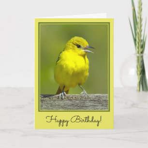 Tuinspot Oriole - Originele Foto Kaart