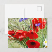 Tuintuin, Rosalinde Briefkaart (Voorkant / Achterkant)