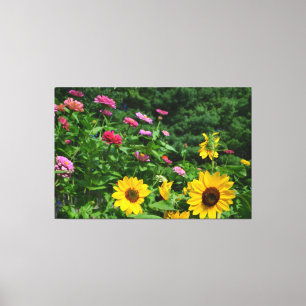 Tuintuin, Uitzicht, bloesems, zonnebloemen Canvas Afdruk
