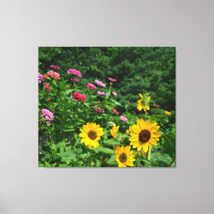 Tuintuin, Uitzicht, bloesems, zonnebloemen Canvas Afdruk