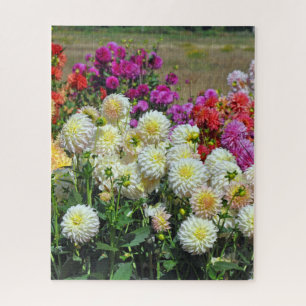 Tuintuin voor regenboogdahlias legpuzzel