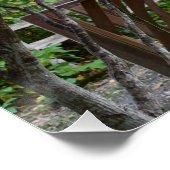 Tuintuinhuisje en rode herfstbladeren perfect poster (Hoek)