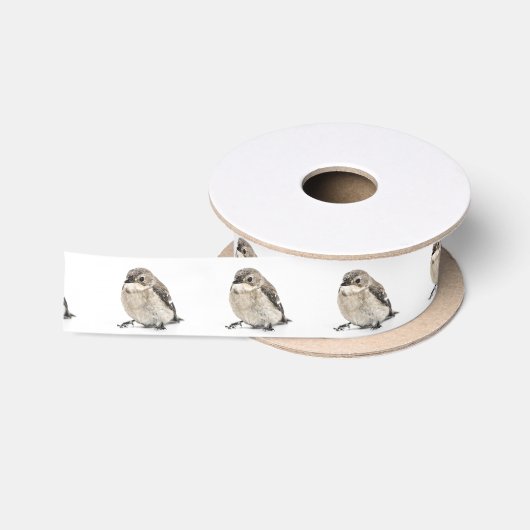 Tuinvogel Lint (Spoel)