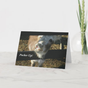 Tuit omhoog! feestdagen kaart