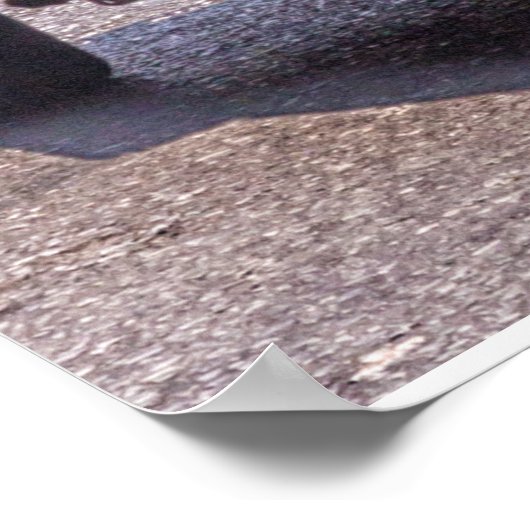 Tuk tuk en Bangkok, Thaïlande Poster (Coin)