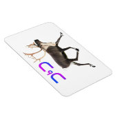 Tuktu - Cariou Magneet (Rechterzijde)