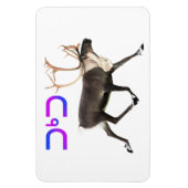 Tuktu - Cariou Magneet (Verticaal)