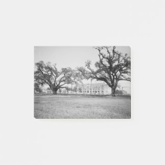 Tulane University of Audubon Park, New Orleans Post-it® Notes