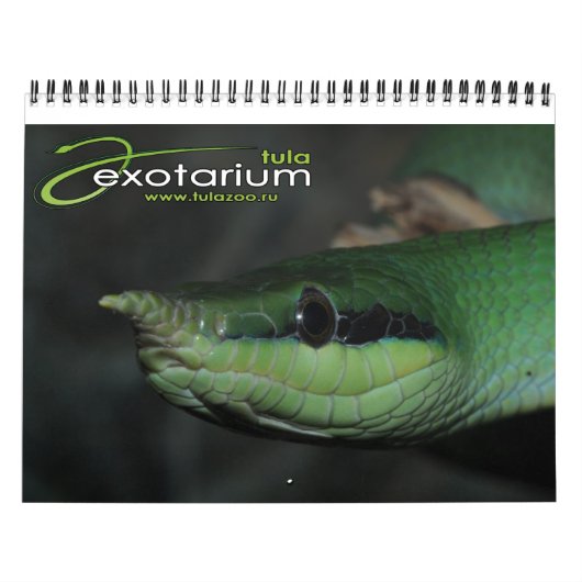 Tulazoo-kalender Kalender (Hoes)