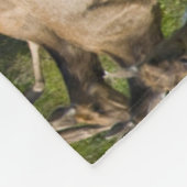 Tule Elk| Point Reyes National Seashore, CA Fleece Deken (Hoek)