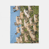 Tule Elk| Point Reyes National Seashore, CA Fleece Deken (Voorkant)