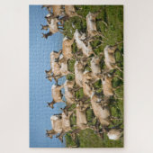 Tule Elk| Point Reyes National Seashore, CA Legpuzzel (Verticaal)