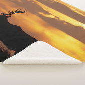 Tule Elk | Punt Reyes National Seashore Sherpa Deken (3/4)