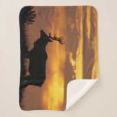 Tule Elk | Punt Reyes National Seashore Sherpa Deken (Voorkant)