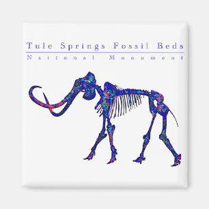 Tule zuigt fossiele bedden magneet