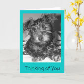 Tulio Kaart (Gele Bloem)