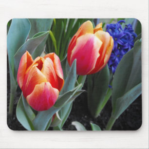 Tulip-A Flower of Love Muismat
