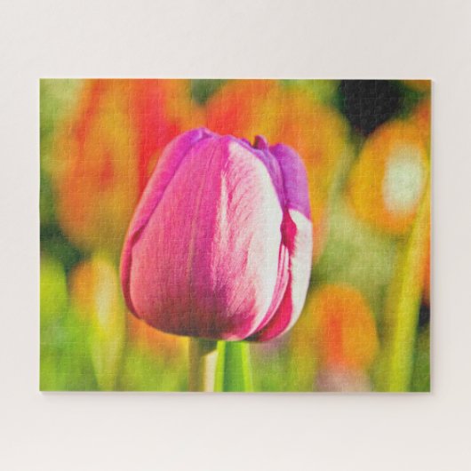 Tulip Collage Legpuzzel (Horizontaal)