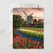 Tulip Festival Briefkaart (Voorkant / Achterkant)