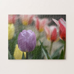 Tulip Festival Flower Natuur Legpuzzel