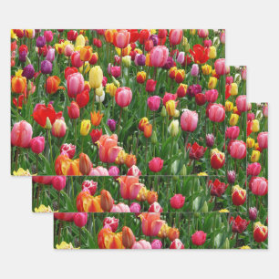 Tulip Festival Inpakpapier Vel
