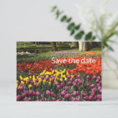 Tulip Flat Enregistrer La Carte Date (Debout devant)