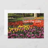 Tulip Flat Save the Date Kaart (Voorkant / Achterkant)