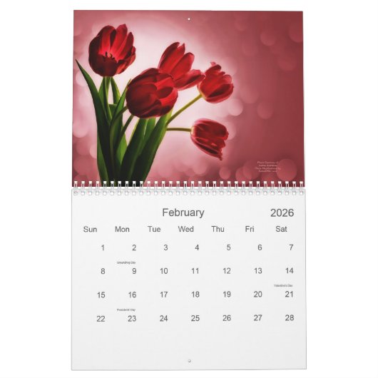 Tulip Floral Gardens 12 maanden Kalender (Feb 2026)