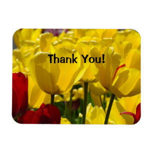 Tulip Flowers magnet Thank You! magnets Tulips