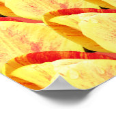 Tulip Flowers Patroon Poster (Hoek)