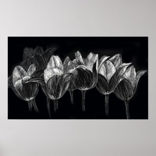 Tulip Garden Black White Scratchboard Art Poster (Voorkant)