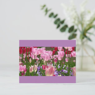 Tulip Garden Briefkaart