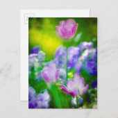 Tulip garden, Giverny, Frankrijk Briefkaart (Voorkant / Achterkant)