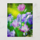 Tulip garden, Giverny, Frankrijk Briefkaart (Voorkant)