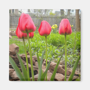 Tulip Garden magnet Magneet