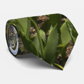 Tulip Gardens dans la Cravate Elizabeth Park (Roulé)