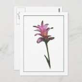 Tulip Ginger Botanisch Briefkaart met fotoketch (Voorkant / Achterkant)
