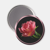 Tulip In Spring Double Bloom Photo Magnet (Recto/Verso)