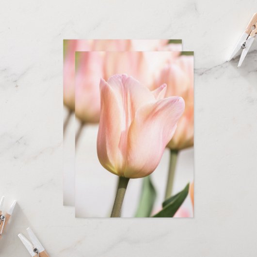 TULIP KAART (Voorkant / Achterkant in situ)