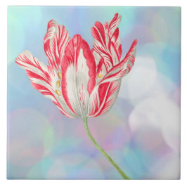  Tulip keramische tapijten Tegeltje